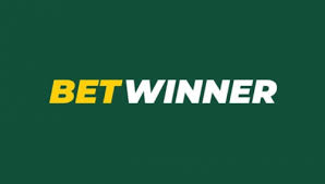 Discover the Future of Sports Betting with Baji app